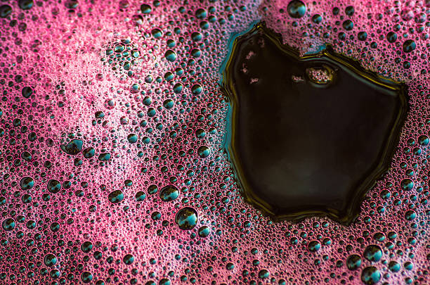 PINOT NOIR JUICE - 5.3 Gallons