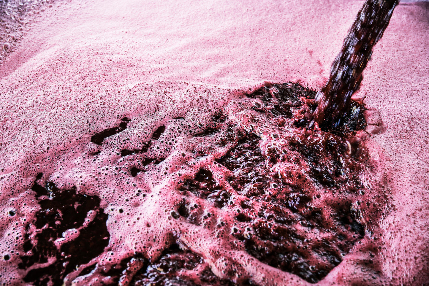 NEBBIOLO JUICE - 5.3 Gallons