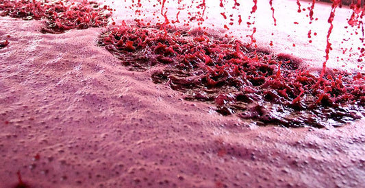 PRIMITIVO JUICE - 5.3 Gallons