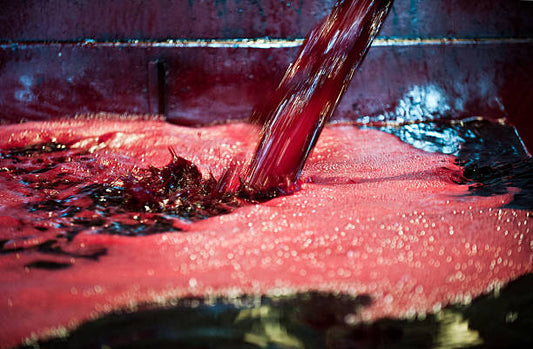 ALICANTE BOUSCHET JUICE - 5.3 Gallons