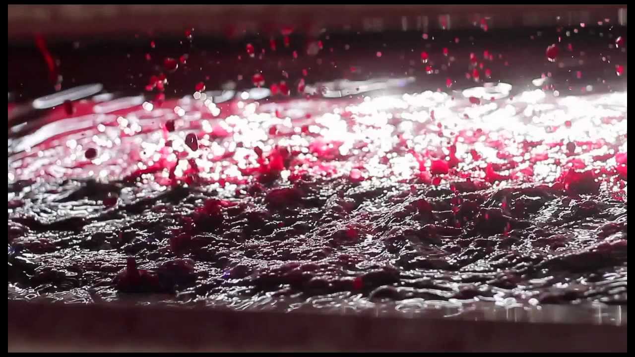 CHIANTI JUICE - 5.3 Gallons